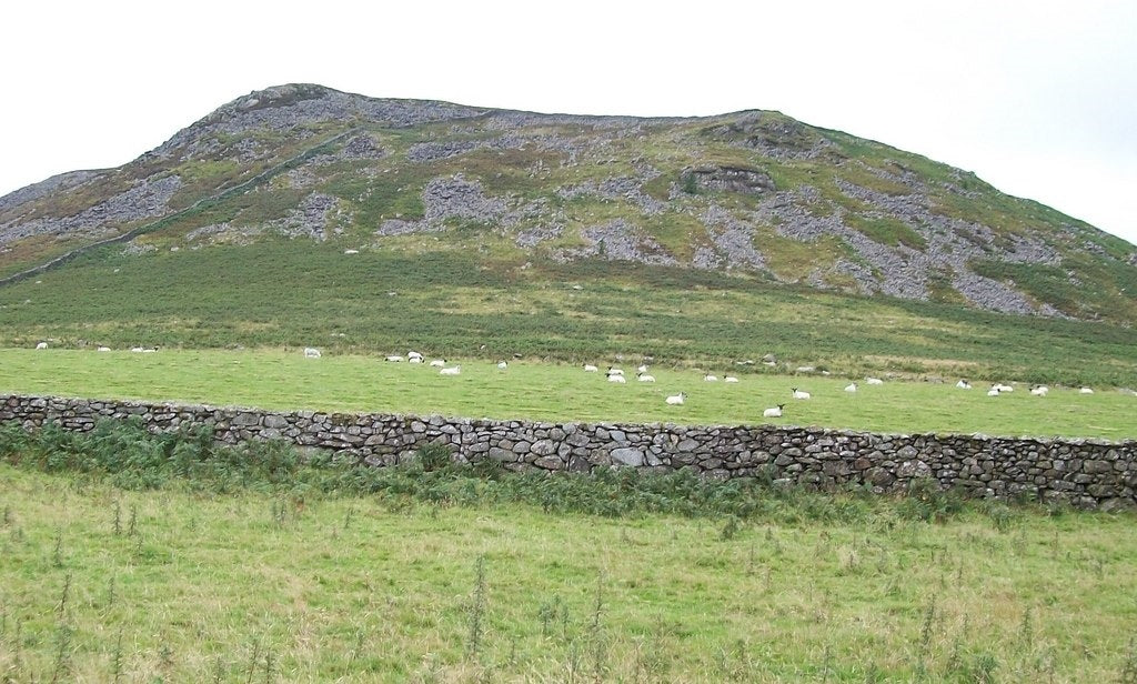 Photo 6x4 Sheep grazings below Carn Fadryn Garnfadryn c2010