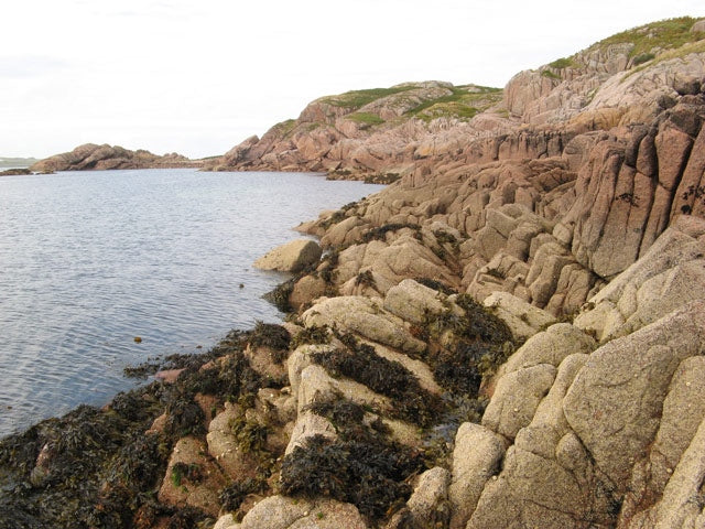 Photo 6x4 Granite coast Fionnphort Intertidal rock outcrop in the pink an c2010