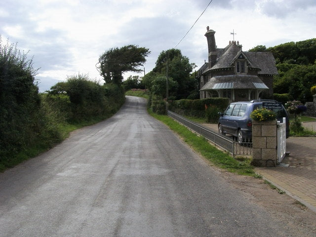 Photo 6x4 Lane to Caulston Membland Lane to Caulston passing Eastern Lodg c2010