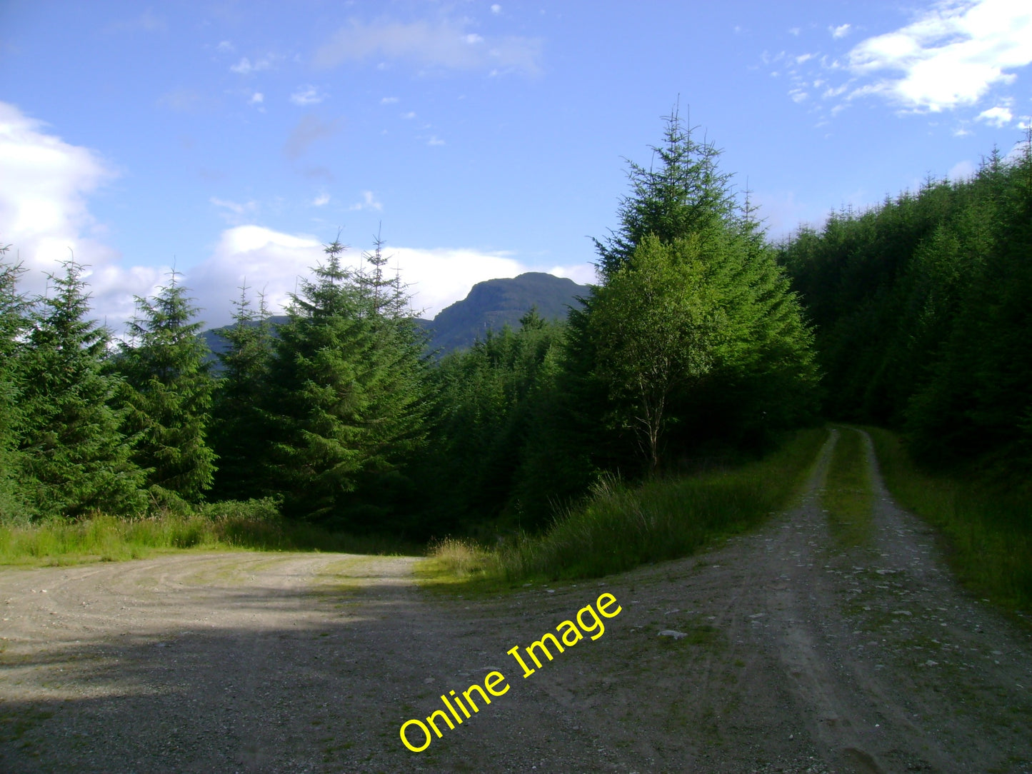Photo 12x8 Forest track junction High Glencroe A forest track junction in c2010