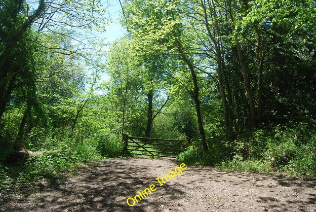 Photo 6x4 Gate into Churchfield Wood Bells Yew Green c2010