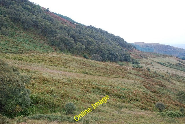 Photo 6x4 Wooded slopes of Gleann d\u00c3\u00a0 Leirg Inverneill c2010