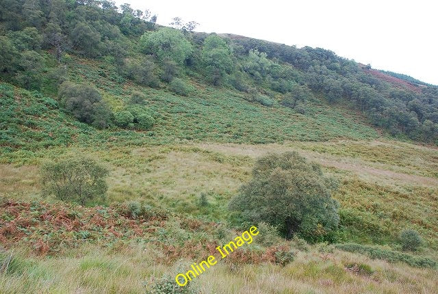 Photo 6x4 Wooded slopes of Gleann d\u00c3\u00a0 Leirg Inverneill c2010