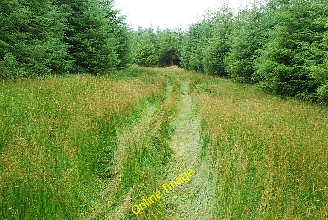 Photo 6x4 Forest ride Inverneill Looking up a route that is used by ATVs. c2010