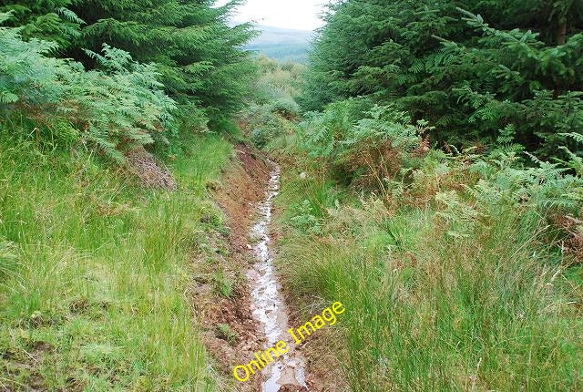 Photo 6x4 Land drain in the forest Inverneill c2010