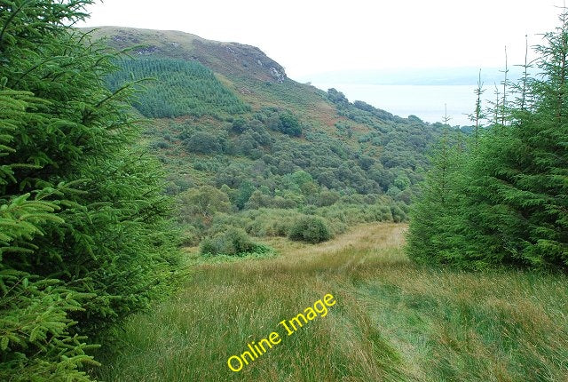Photo 6x4 An torr Inverneill Walking down through the forest towards the c2010