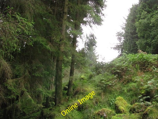 Photo 6x4 Ride by Mark Portincaple The Harvey's map shows a track he c2010
