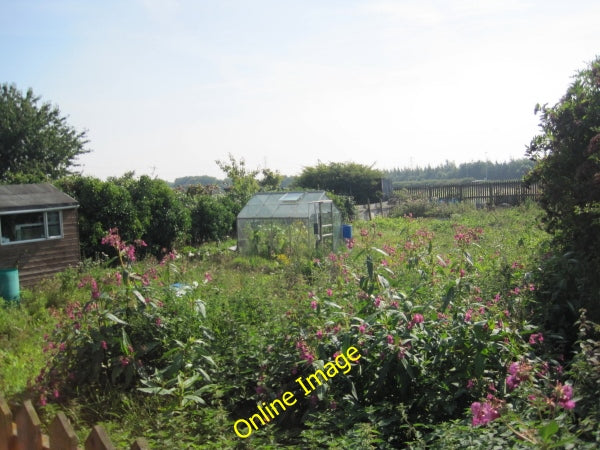 Photo 6x4 Allotments, East Hartford Bedlington c2010