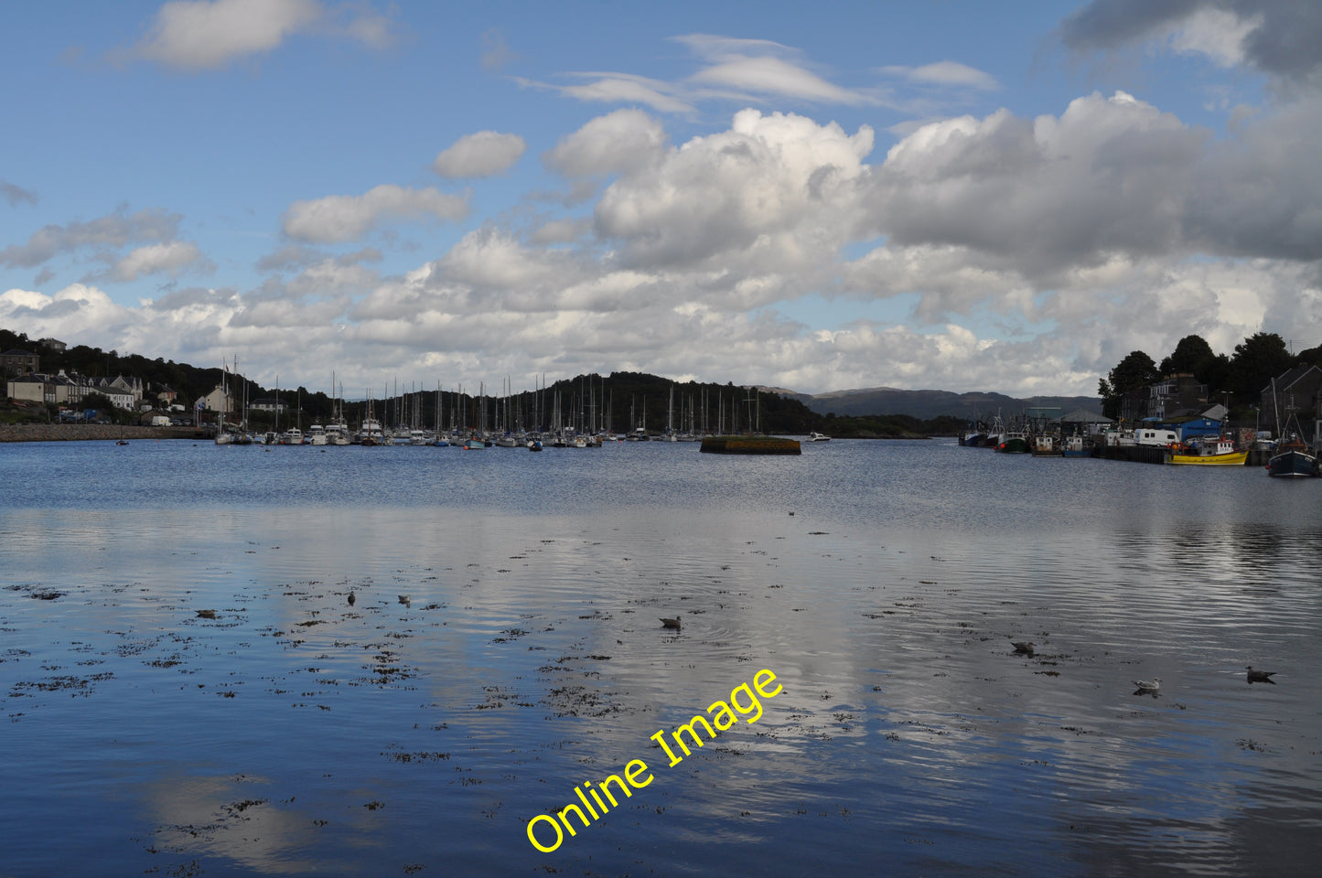 Photo 6x4 Tarbert Harbour Tarbert\/NR8668 c2010