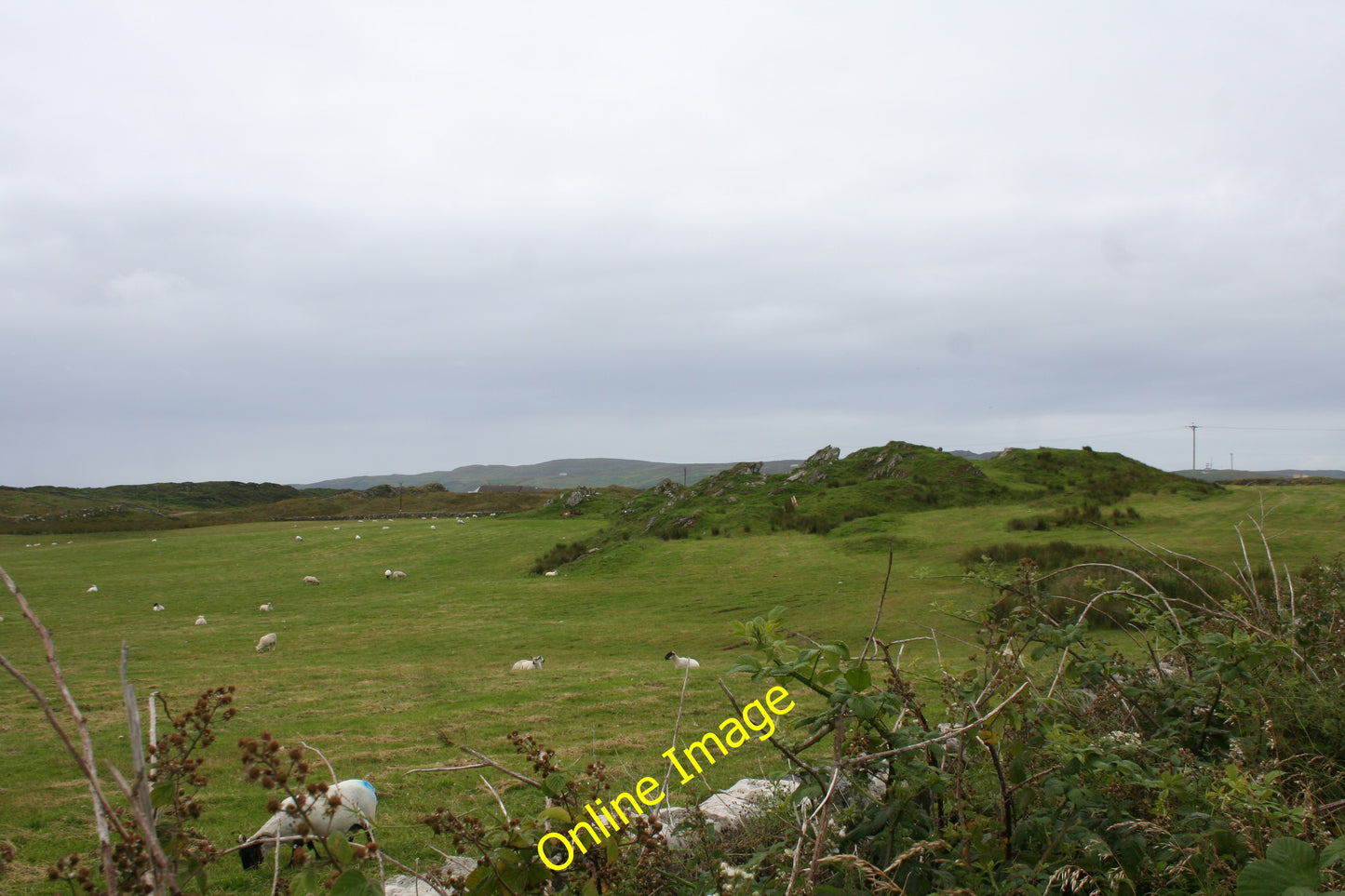 Photo 6x4 Rocks and Pasture Laphroaig Sheep grazing pasture land by Port c2010
