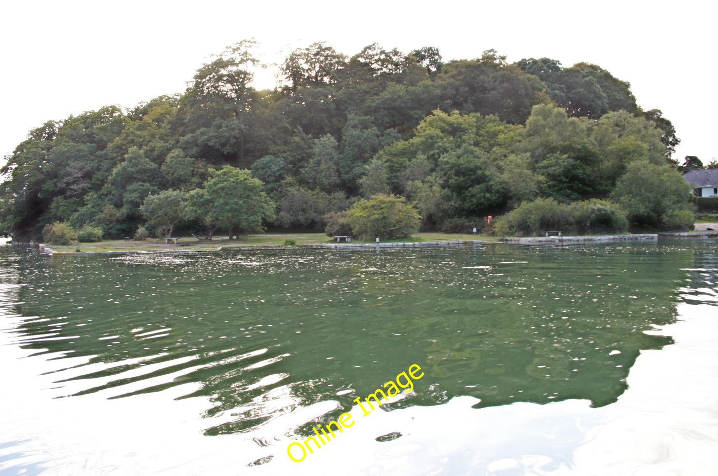 Photo 6x4 Roundwood Quay Coombe\/SW8340 Not much to see on this very high c2010