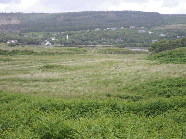 Photo 6x4 Grassy field near West Ardhu Dervaig  c2010