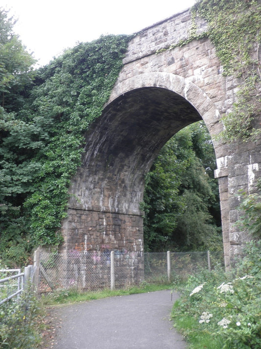 Photo 6x4 Railway bridge, west of Okehampton  c2010