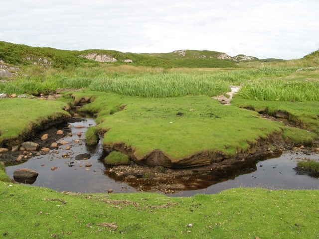 Photo 6x4 Salt marsh Fionnphort The winding course of a small burn that e c2010