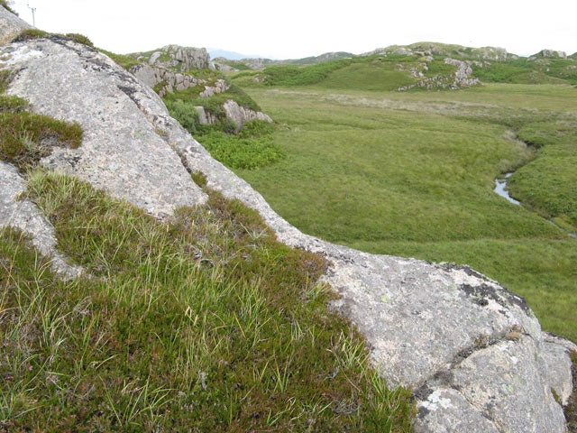 Photo 6x4 Rock and bog Fionnphort Typical habitat on the Ross of Mull Gra c2010