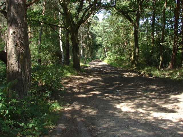 Photo 6x4 The Old Guildford Road Pirbright Camp The Old Guildford Road th c2010