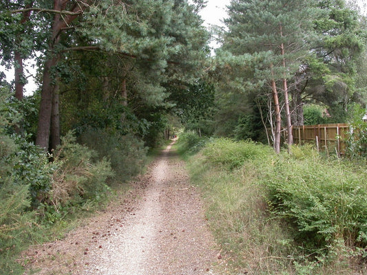 Photo 6x4 Ashley Heath, trailway Ashley Heath\/SU1104 Castleman Trailway, c2010