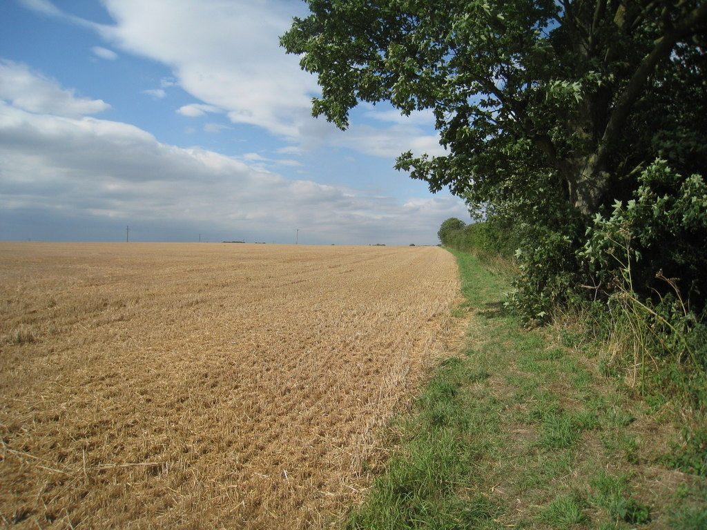 Photo 6x4 Footpath to Thornton Abbey Station Ulceby Skitter  c2010