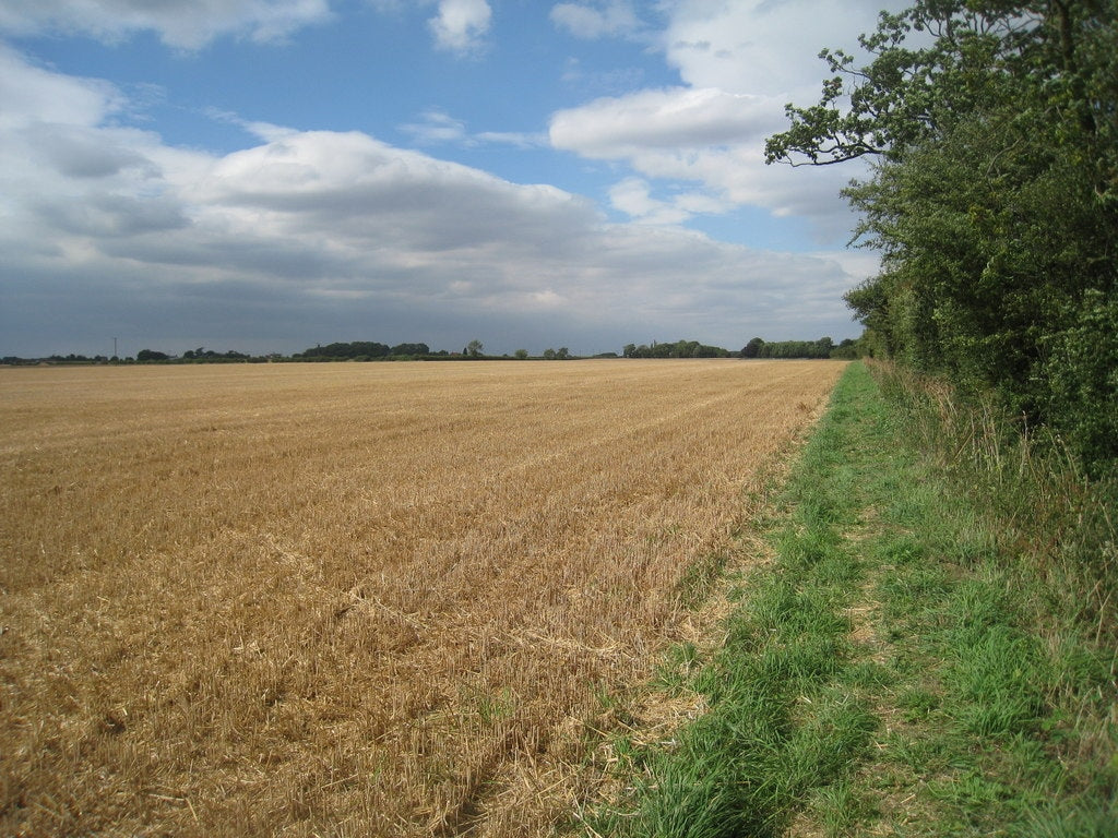 Photo 6x4 Footpath to Thornton Abbey Station West Field\/TA1219  c2010