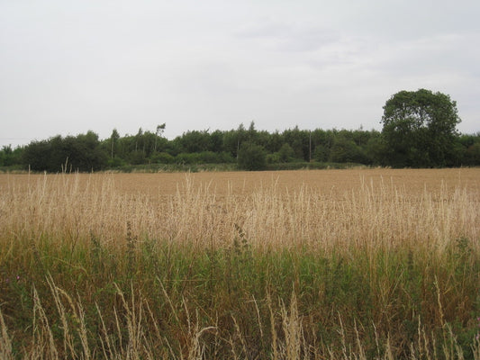 Photo 6x4 Looking north from Church Side to the old railway Goxhill\/TA10 c2010