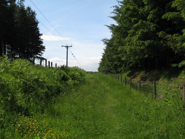 Photo 6x4 Cutting on the former Rookhope-Westgate railway (2)  c2010