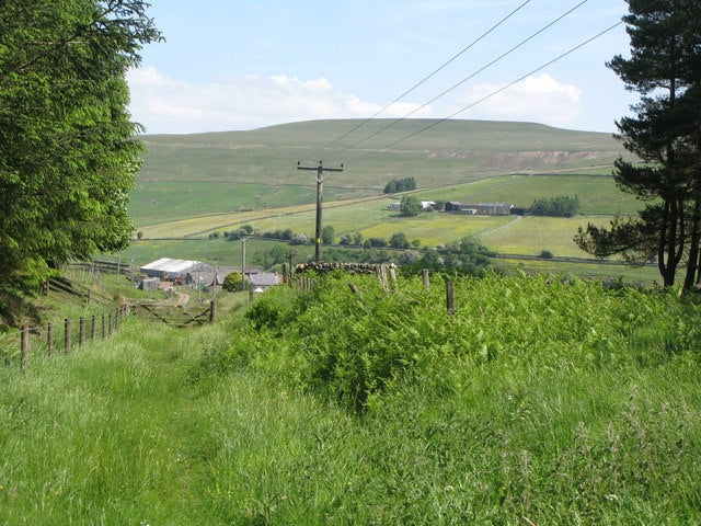 Photo 6x4 Cutting on the former Rookhope-Westgate railway (3)  c2010