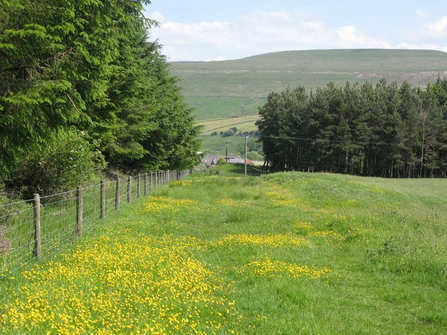 Photo 6x4 Trackbed of the former Rookhope-Westgate railway (2)  c2010