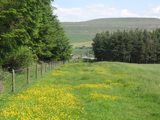 Photo 6x4 Trackbed of the former Rookhope-Westgate railway (2)  c2010