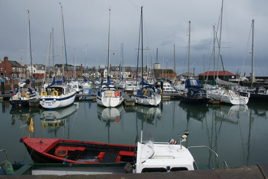 Photo 6x4 Arbroath harbour  c2010