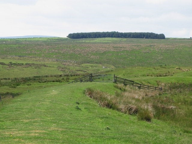 Photo 6x4 Embankment on the former Rookhope-Westgate railway Looking towa c2010