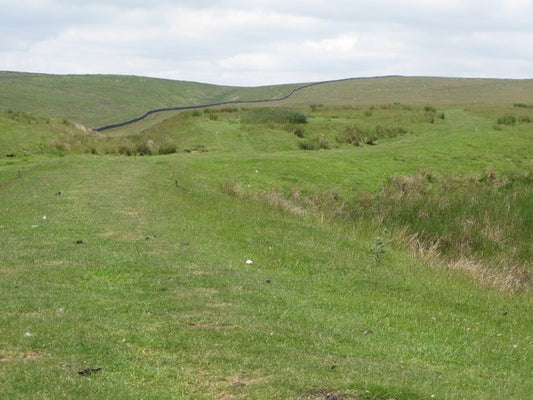 Photo 6x4 Trackbed of the former Rookhope-Westgate railway (4)  c2010