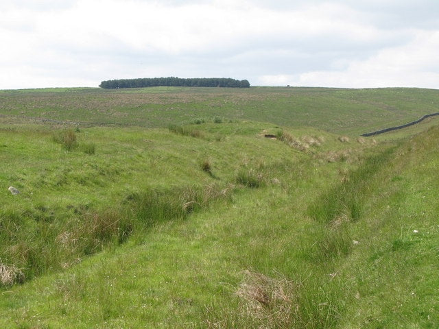 Photo 6x4 Cutting on the former Rookhope-Westgate railway  c2010