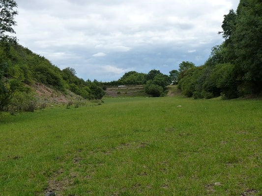 Photo 6x4 Railway cutting at Landyke Lane Holwell\/SK7323 A view south of c2010