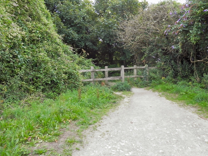 Photo 6x4 Pendennis Head Falmouth Footpath from Coastguard Station toward c2010