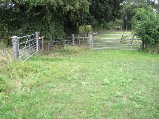 Photo 6x4 Footpath towards Boar's Bridge Cottage Little London\/SU6259  c2010