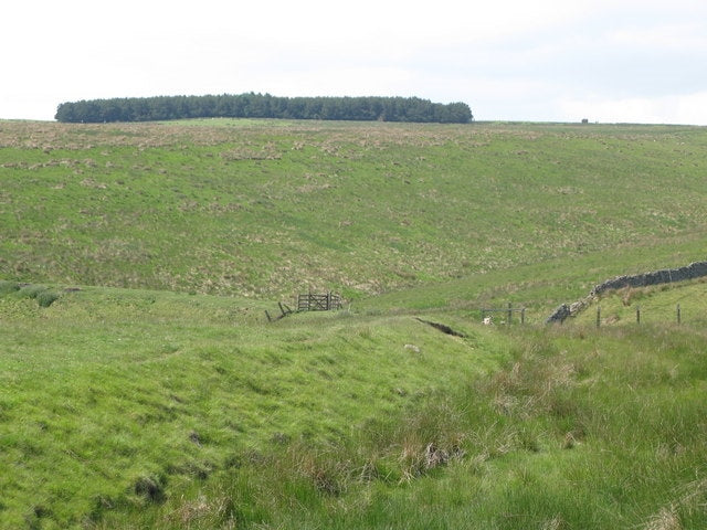 Photo 6x4 Trackbed of the former Rookhope-Westgate railway (5)  c2010