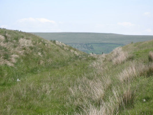 Photo 6x4 Cutting on the former Rookhope-Westgate railway (2)  c2010