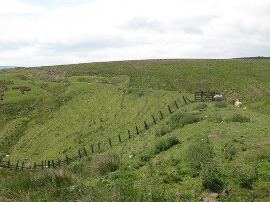 Photo 6x4 Embankment on the former Rookhope-Westgate railway (3) This mas c2010