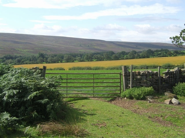 Photo 6x4 View towards the railway Commondale Cultivated fields in the va c2010