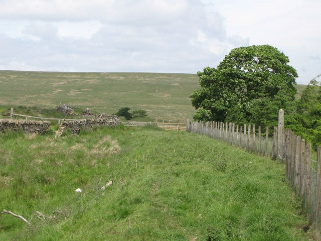 Photo 6x4 Trackbed of the former Westgate-Rookhope railway (5) Brotherlee c2010