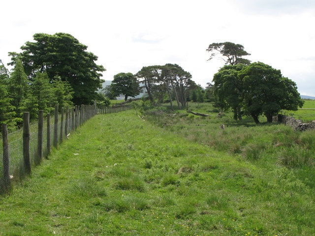 Photo 6x4 Trackbed of the former Westgate-Rookhope railway (6) Brotherlee c2010