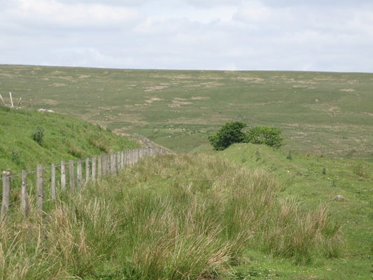 Photo 6x4 Trackbed of the former Westgate-Rookhope railway (7) Brotherlee c2010