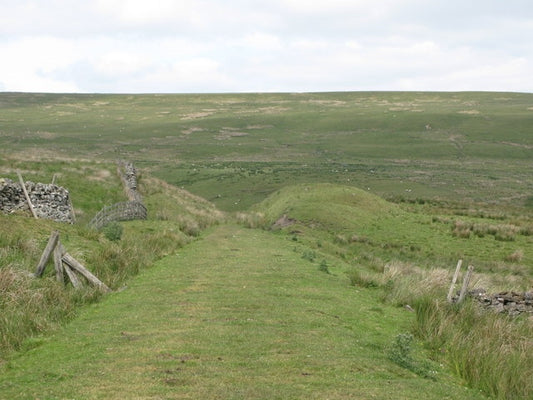 Photo 6x4 Embankment and cutting on the former Westgate- Rookhope railway c2010