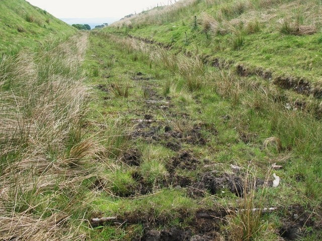 Photo 6x4 Railway sleepers of the former Westgate-Rookhope railway Brothe c2010