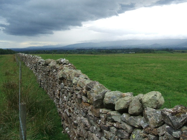 Photo 6x4 Wall  by path to Trainlands Maulds Meaburn  c2010