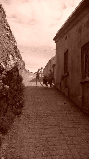 Photo 6x4 Lizard, path to the old lifeboat station Very steep path to the c2010