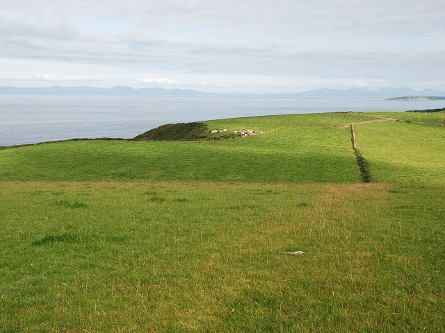 Photo 6x4 Clifftop grazing Glenbarr Fields at Barlea for cattle. c2010