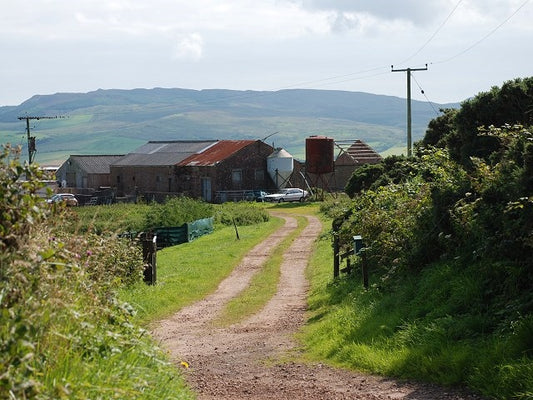 Photo 6x4 Highfield Piggeries Drumlemble No longer in use for pig farming c2010