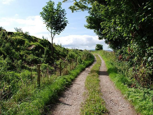 Photo 6x4 Track from Low Ranachan to Mid Craigs Kilchenzie Looking south  c2010