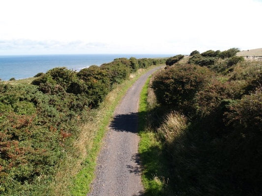 Photo 6x4 Disused Railway Line near Runswick Bay Runswick Bay\/NZ8016 Tak c2010